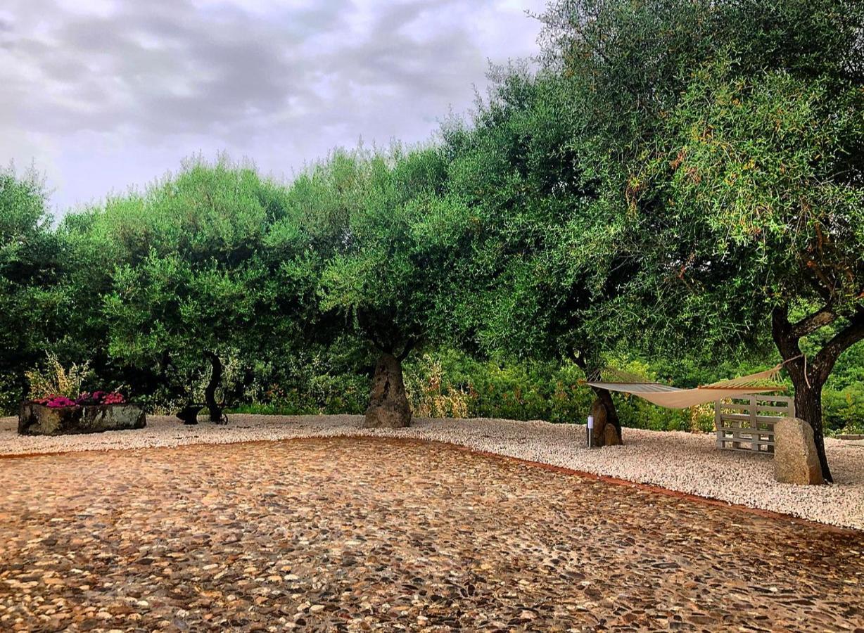 B&B Casa Vacanza Centro Sardegna Sorgono Exteriér fotografie