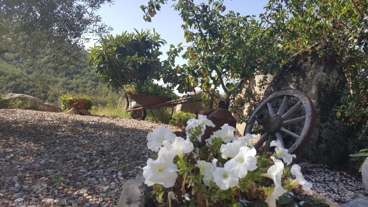 B&B Casa Vacanza Centro Sardegna Sorgono Exteriér fotografie