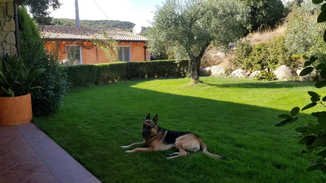 B&B Casa Vacanza Centro Sardegna Sorgono Exteriér fotografie